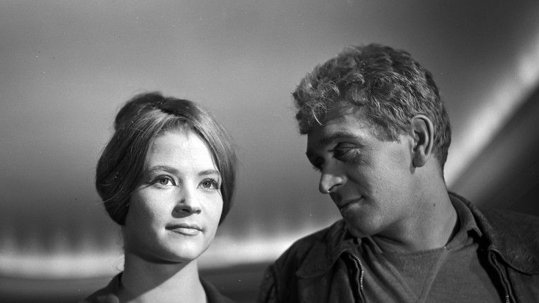 кадр из фильма Лунатики