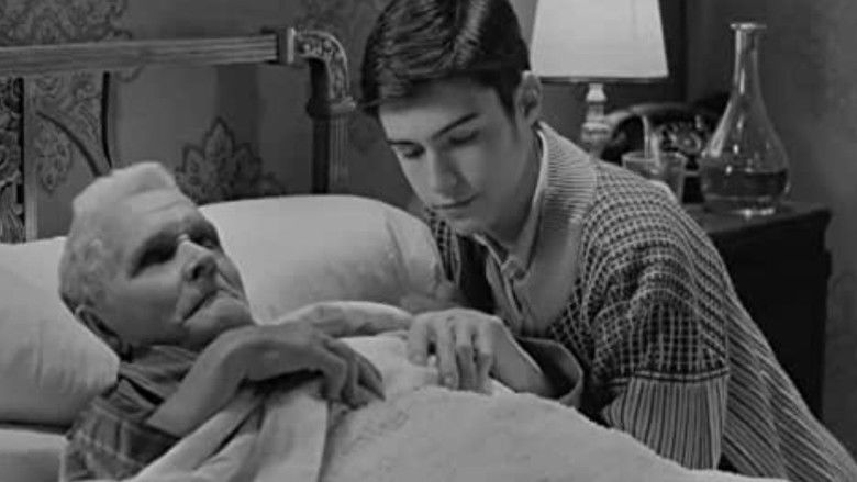 кадр из фильма Los muertos no se tocan, nene