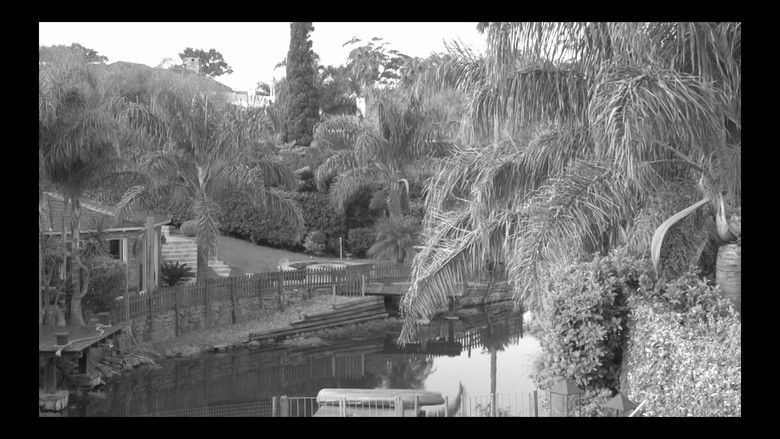 кадр из фильма Pascualina