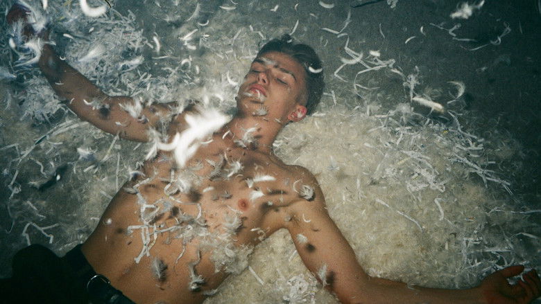 кадр из фильма Licking Wounds