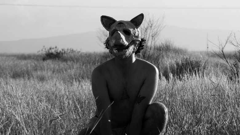 El perro