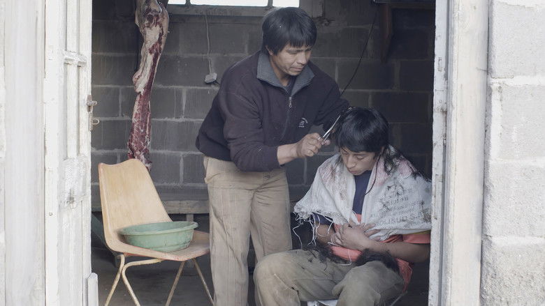 кадр из фильма Comparsa