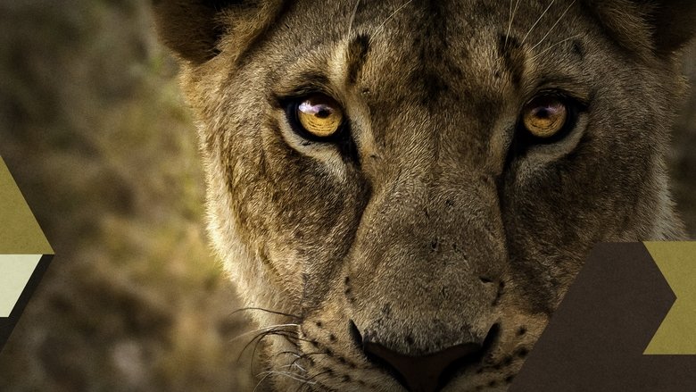 кадр из фильма Malika the Lion Queen