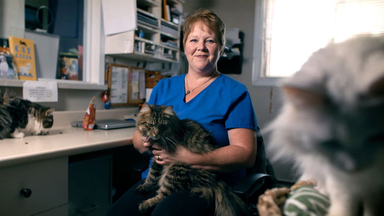 кадр из фильма You Are Here: A Come From Away Story