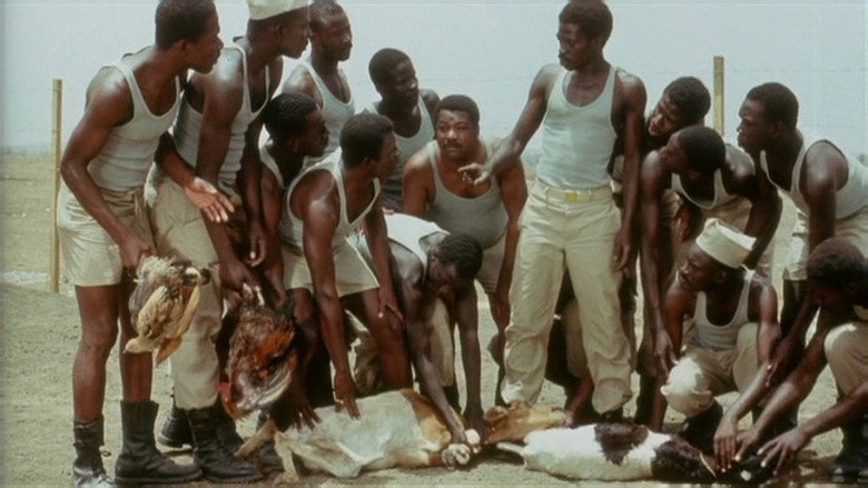 кадр из фильма Camp de Thiaroye