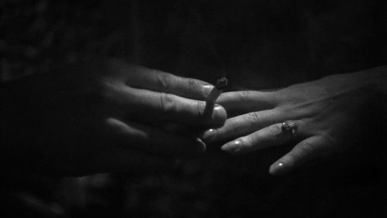 кадр из фильма Я знаю, куда я иду!