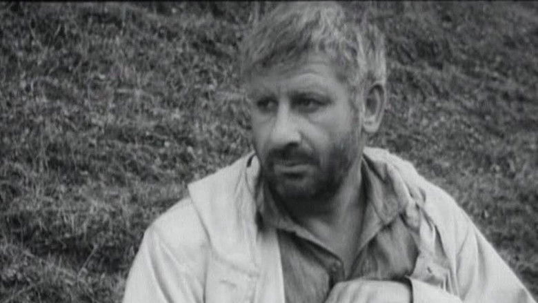 кадр из фильма Большая зелёная долина