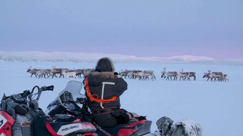 кадр из фильма The Arctics