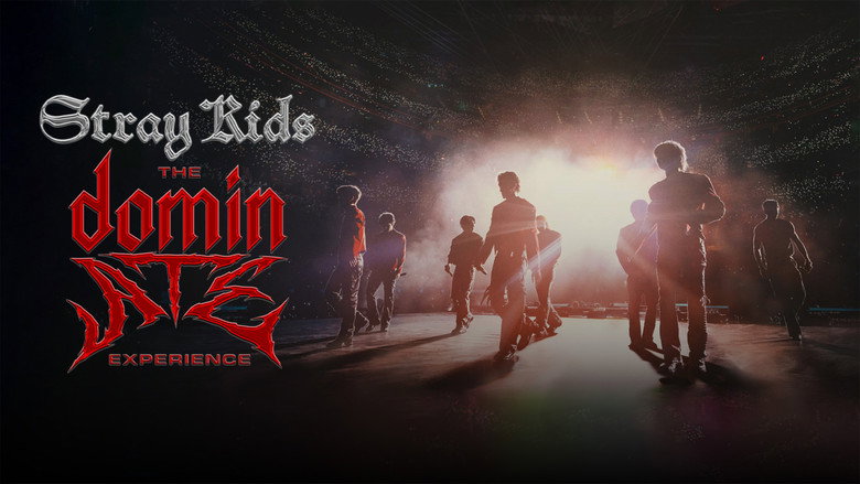 кадр из фильма 스트레이 키즈 : 더 도미네이트 익스피리언스