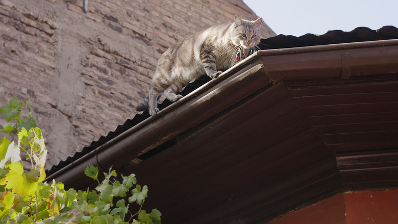 кадр из фильма Cartas a mis padres muertos