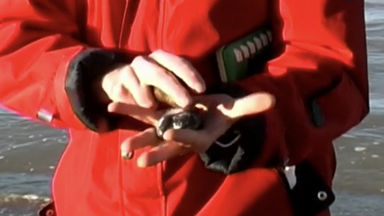 кадр из фильма Charles Hayward Recorded