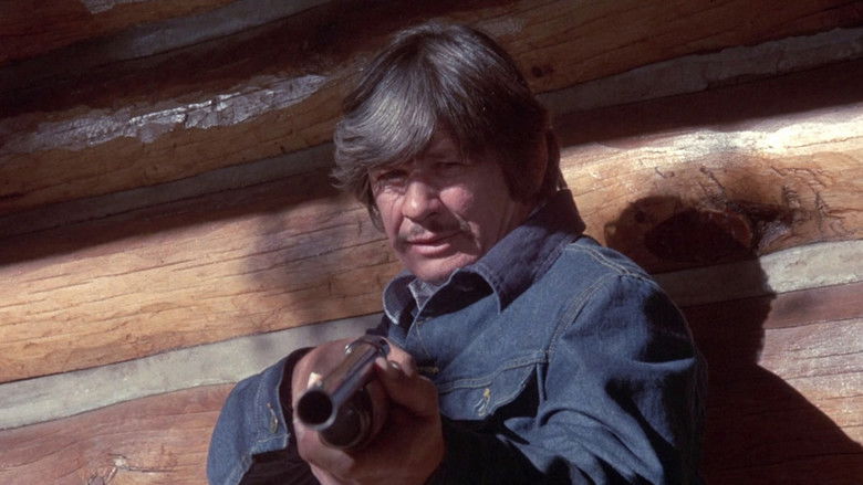 кадр из фильма Мистер Маджестик