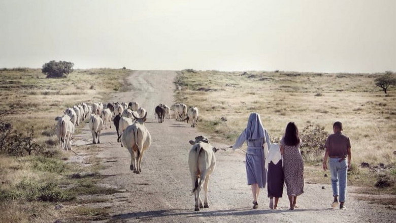 кадр из фильма Yohanna