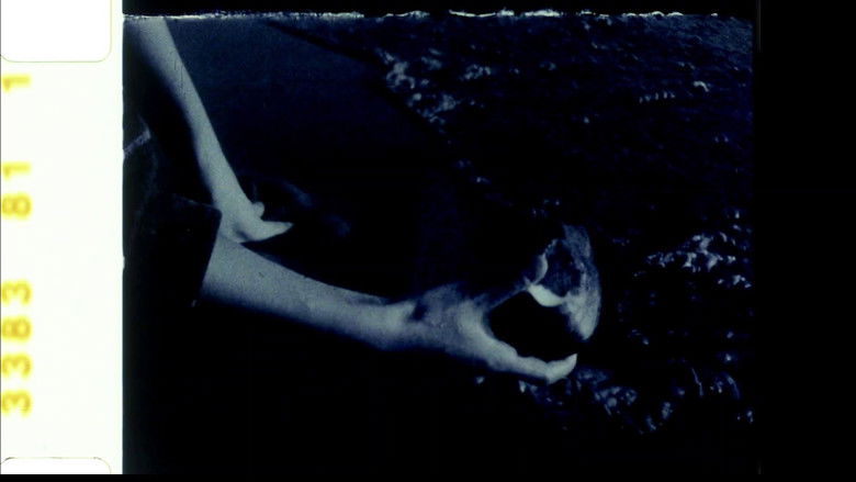 кадр из фильма Echoed Silence