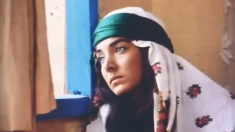 кадр из фильма Mem û Zîn