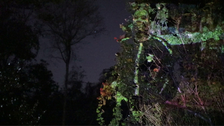 кадр из фильма o que resta de imagem em mim