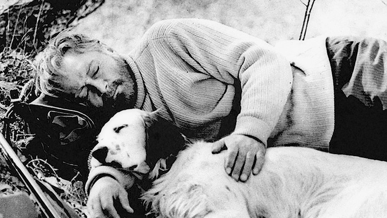 кадр из фильма Белый Бим Чёрное ухо