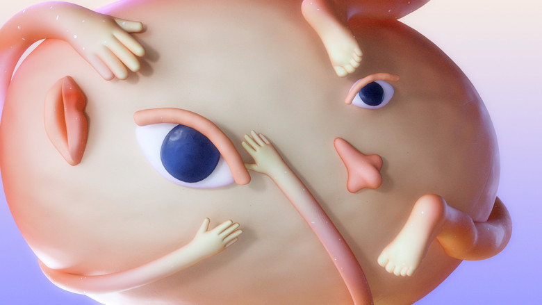 我不是一個形狀