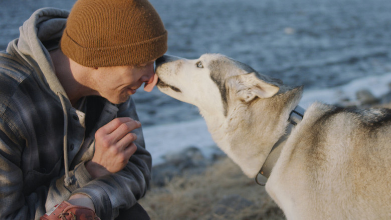 кадр из фильма Год собаки