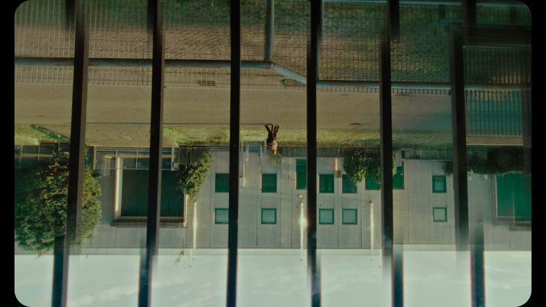 кадр из фильма Vae Victis