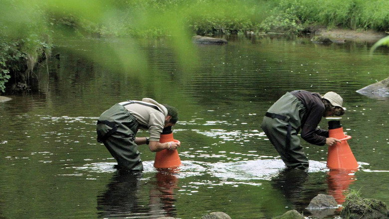 кадр из фильма La Rivière