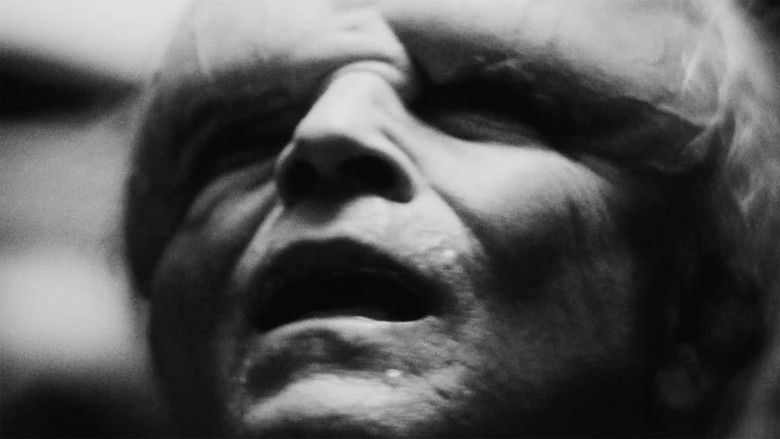 кадр из фильма Божественность