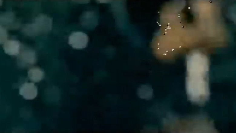 кадр из фильма Compression Study #1 (Untitled data mashup)