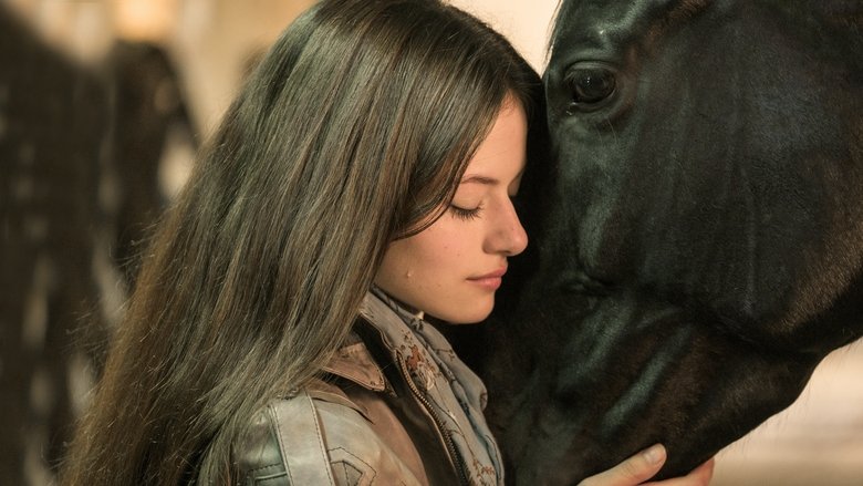 кадр из фильма Чёрная красавица