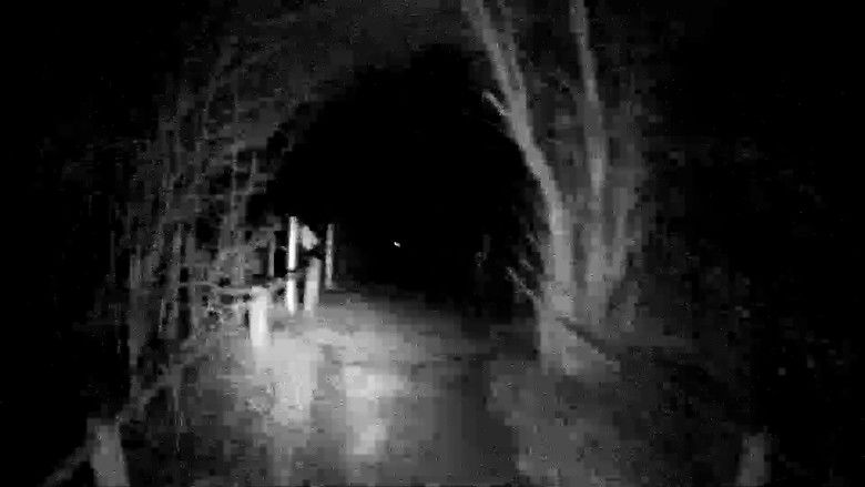 кадр из фильма Port Meadow