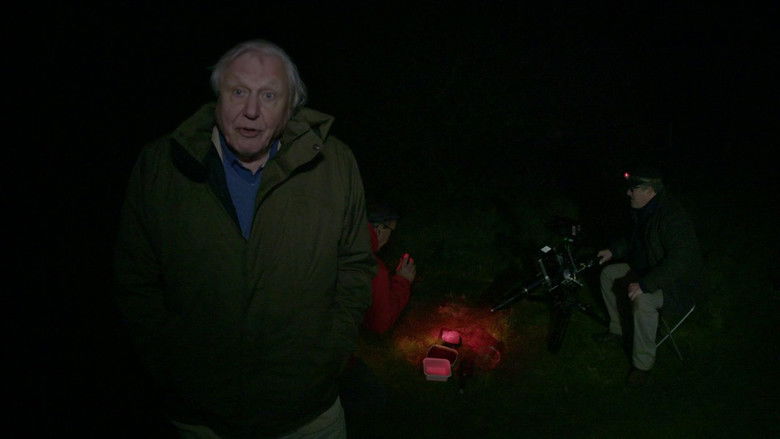 кадр из фильма The Making Of David Attenborough's Light On Earth