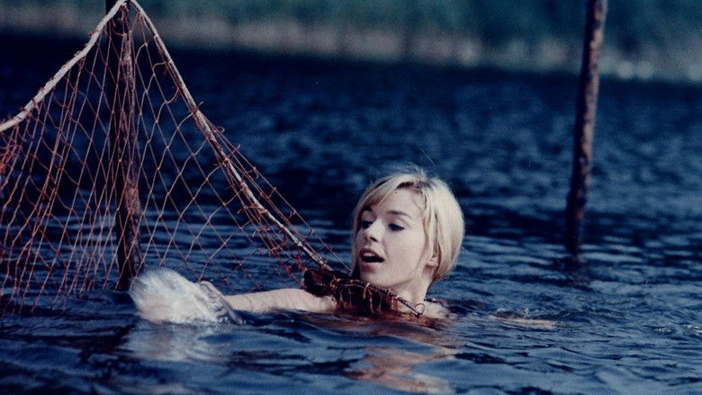 кадр из фильма Как выйти замуж за короля