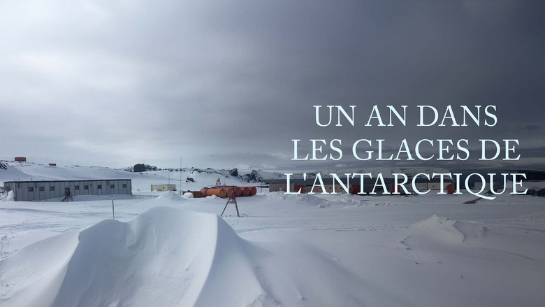 кадр из фильма The Unknown Life of Antarctica