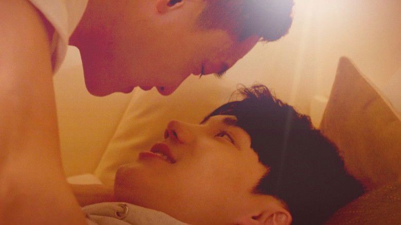 퍼스트 러브 스토리