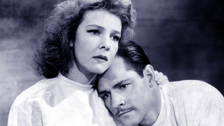 кадр из фильма Corregidor