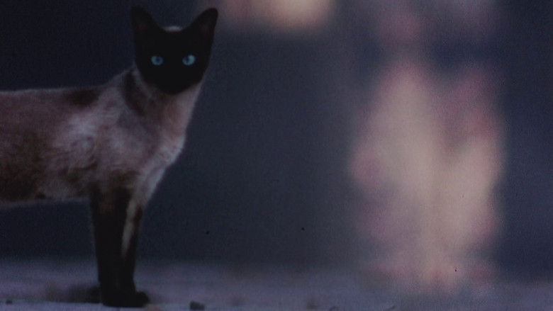 кадр из фильма The Perils of Priscilla