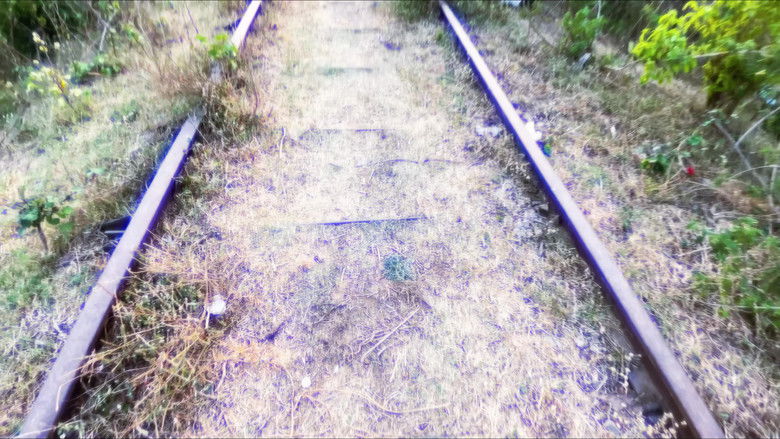 кадр из фильма संकट का समय