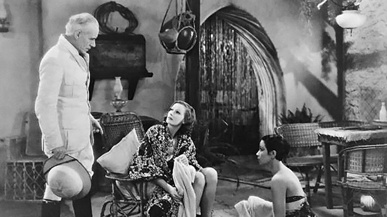 кадр из фильма Дикие орхидеи