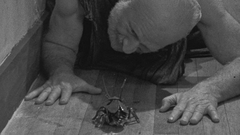 кадр из фильма Bugs Without Morals