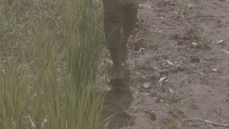 кадр из фильма Kite