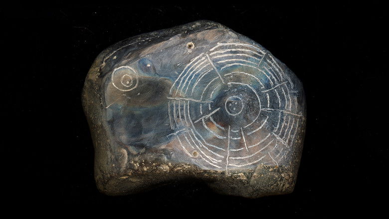 кадр из фильма Witness: An Organima Film