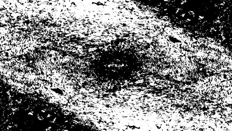 кадр из фильма Insect Theory