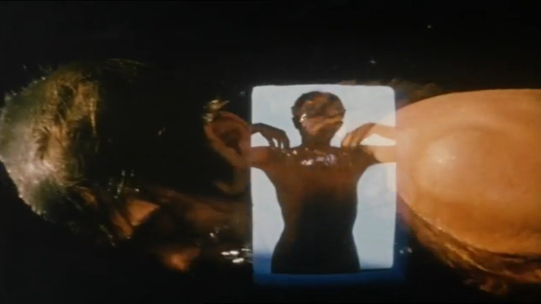 кадр из фильма Early Monthly Segments