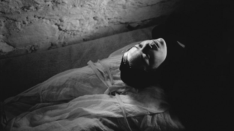 кадр из фильма Βληχή