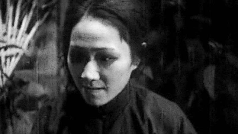 кадр из фильма Сёстры-близнецы