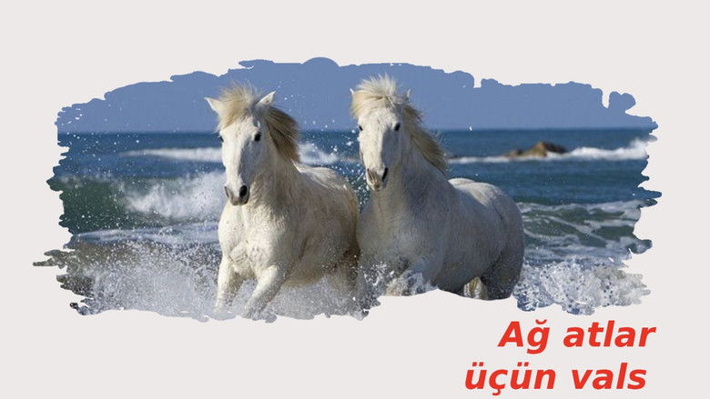 кадр из фильма Ağ atlar üçün vals