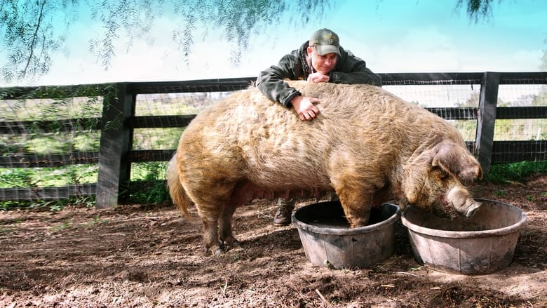 кадр из фильма The Biggest Little Farm: The Return
