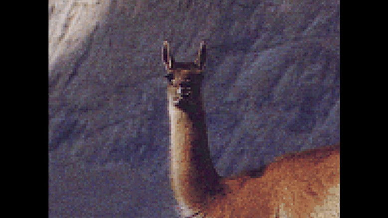 кадр из фильма Gifs Galore