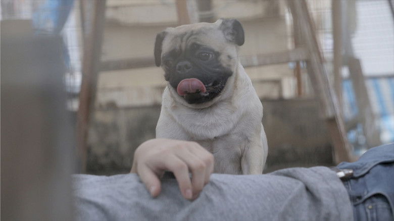 кадр из фильма 不來不去