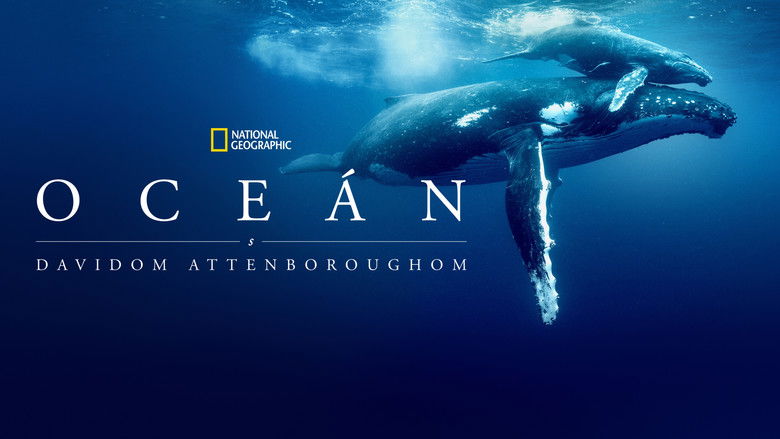 кадр из фильма Океан с Дэвидом Аттенборо