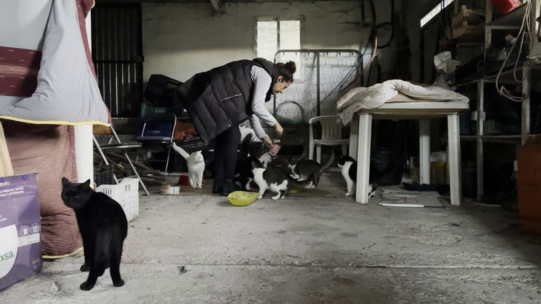 кадр из фильма A la porra